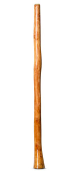 High Gloss Finish Flared Didgeridoo (NW143)